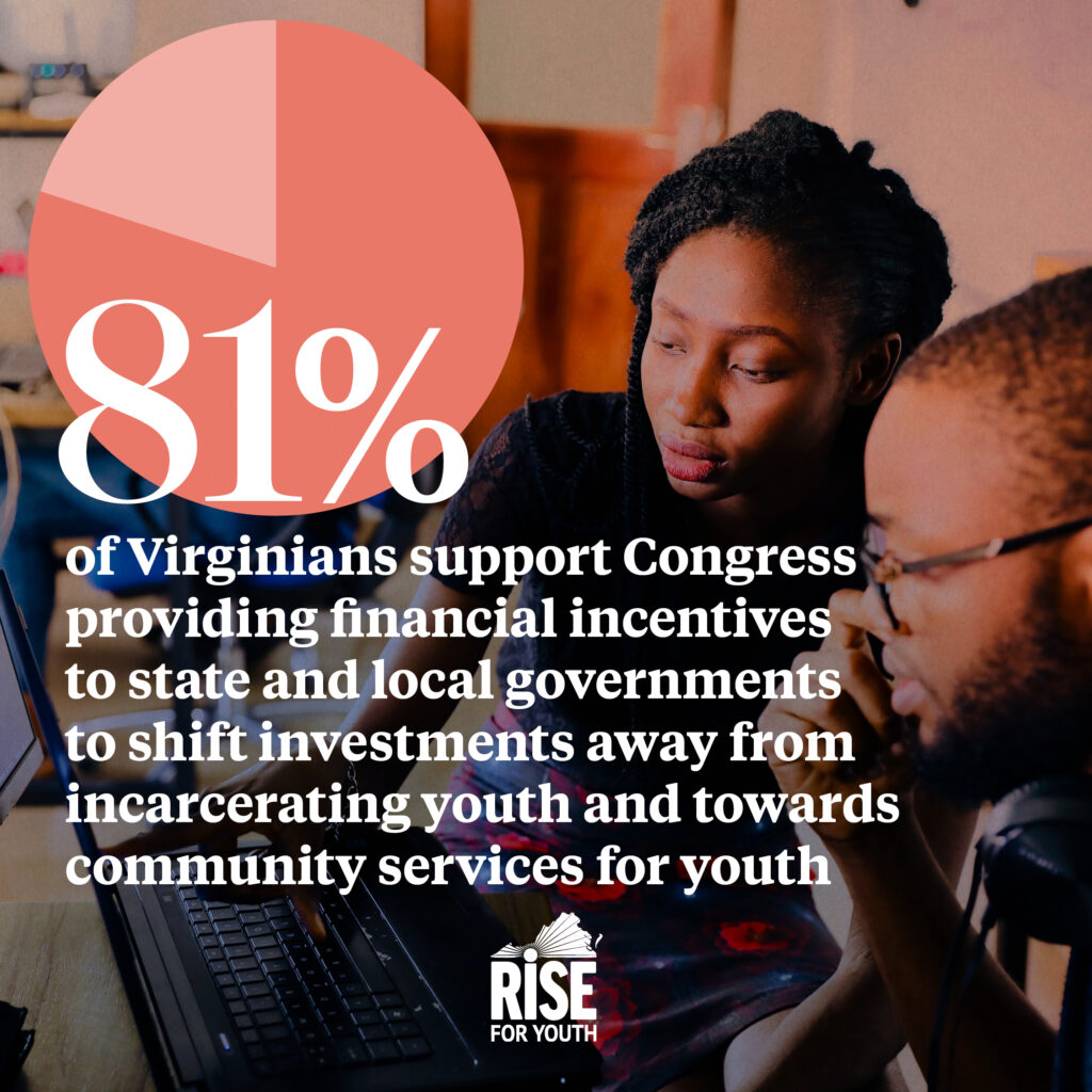 NKIP 2021 Virginia Polling Data Graphics - Congressional Incentives