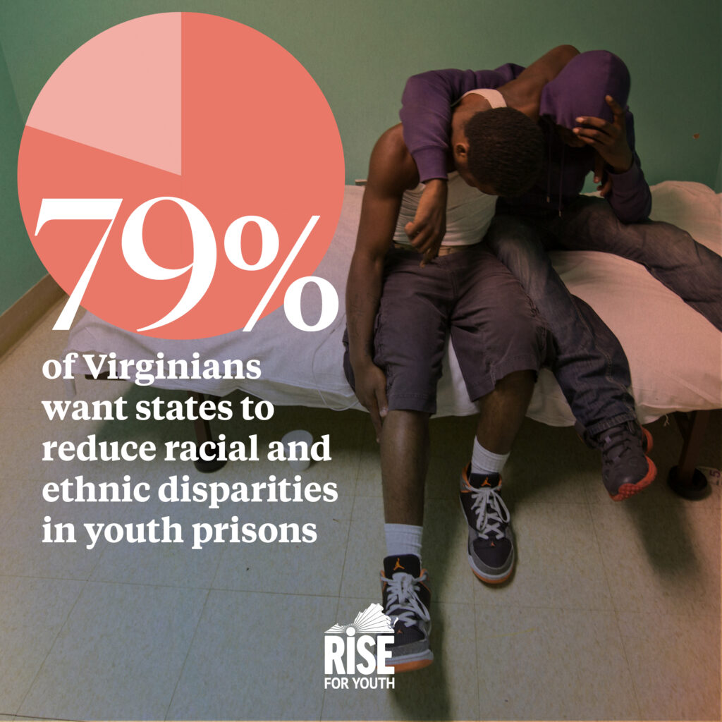 NKIP 2021 Virginia Polling Data Graphics - Disparities