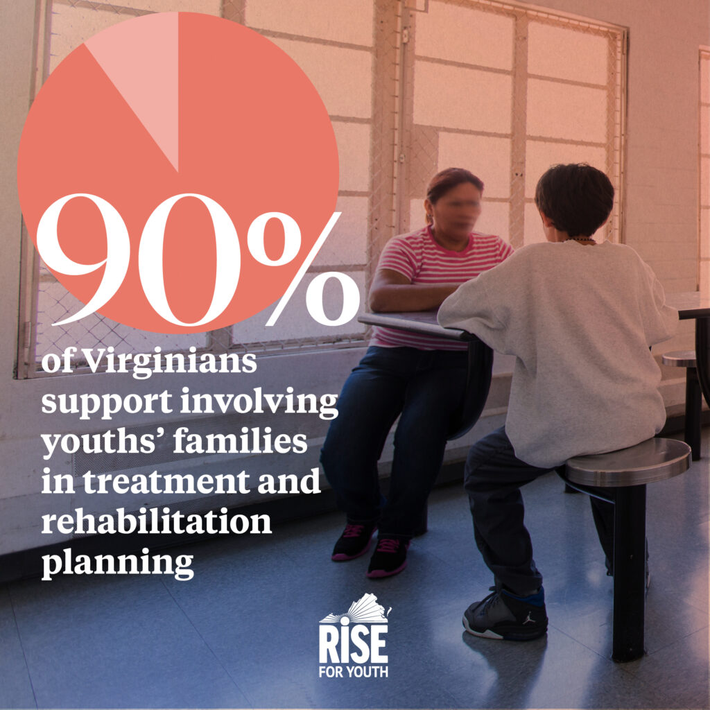 NKIP 2021 Virginia Polling Data Graphics - Families