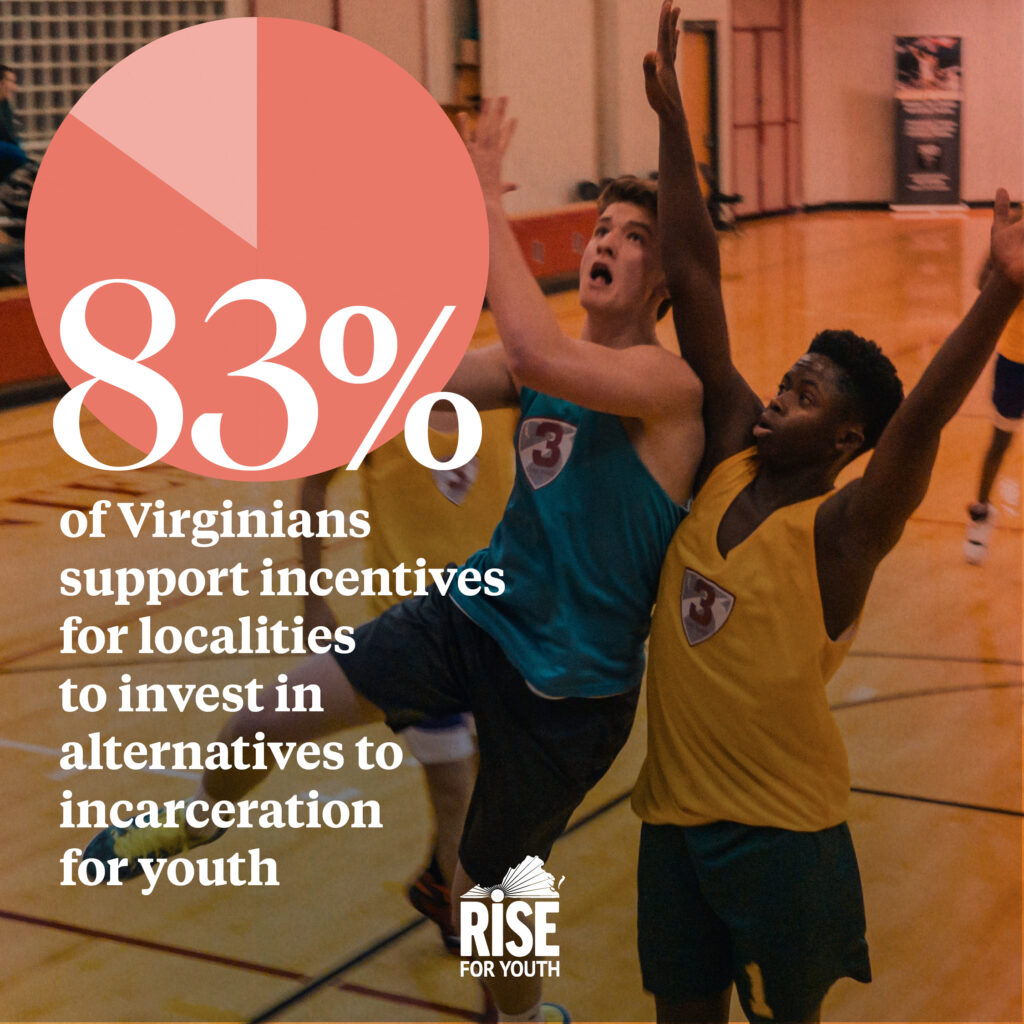 NKIP 2021 Virginia Polling Data Graphics - Incentives